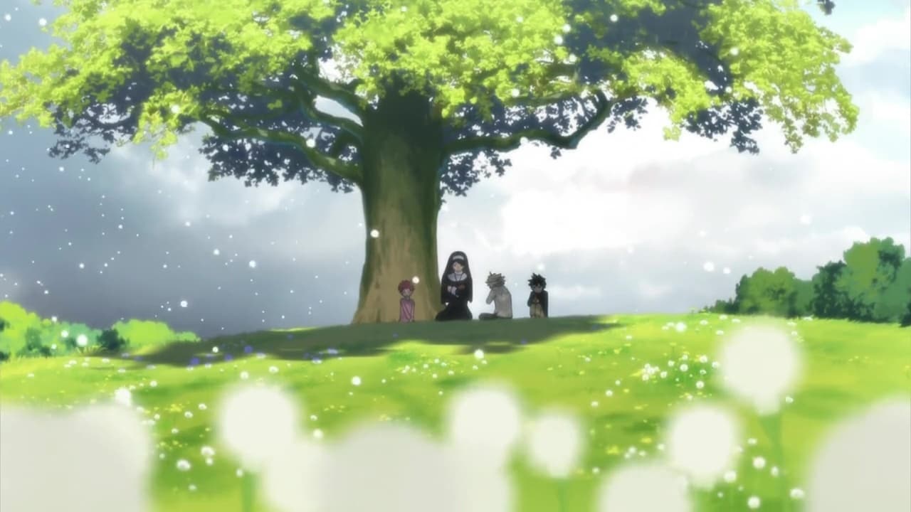 Regarder Black Clover saison 1 épisode 2 en streaming | BetaSeries.com