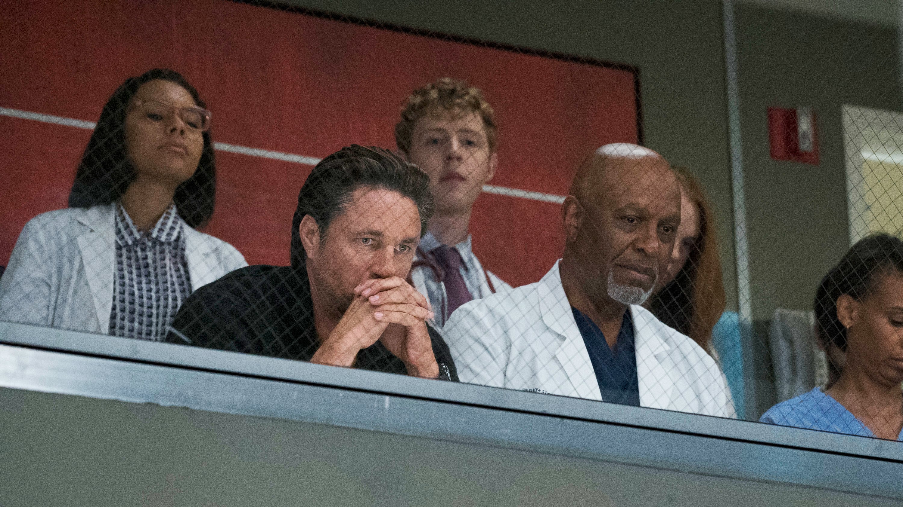 Regarder Grey's Anatomy Saison 14 En Streaming Grey's Anatomy Saison 14 En Streaming - vocook