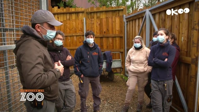 Une Saison Au Zoo Saison 14 épisode 129 Regarder Une saison au zoo saison 13 épisode 1 en streaming