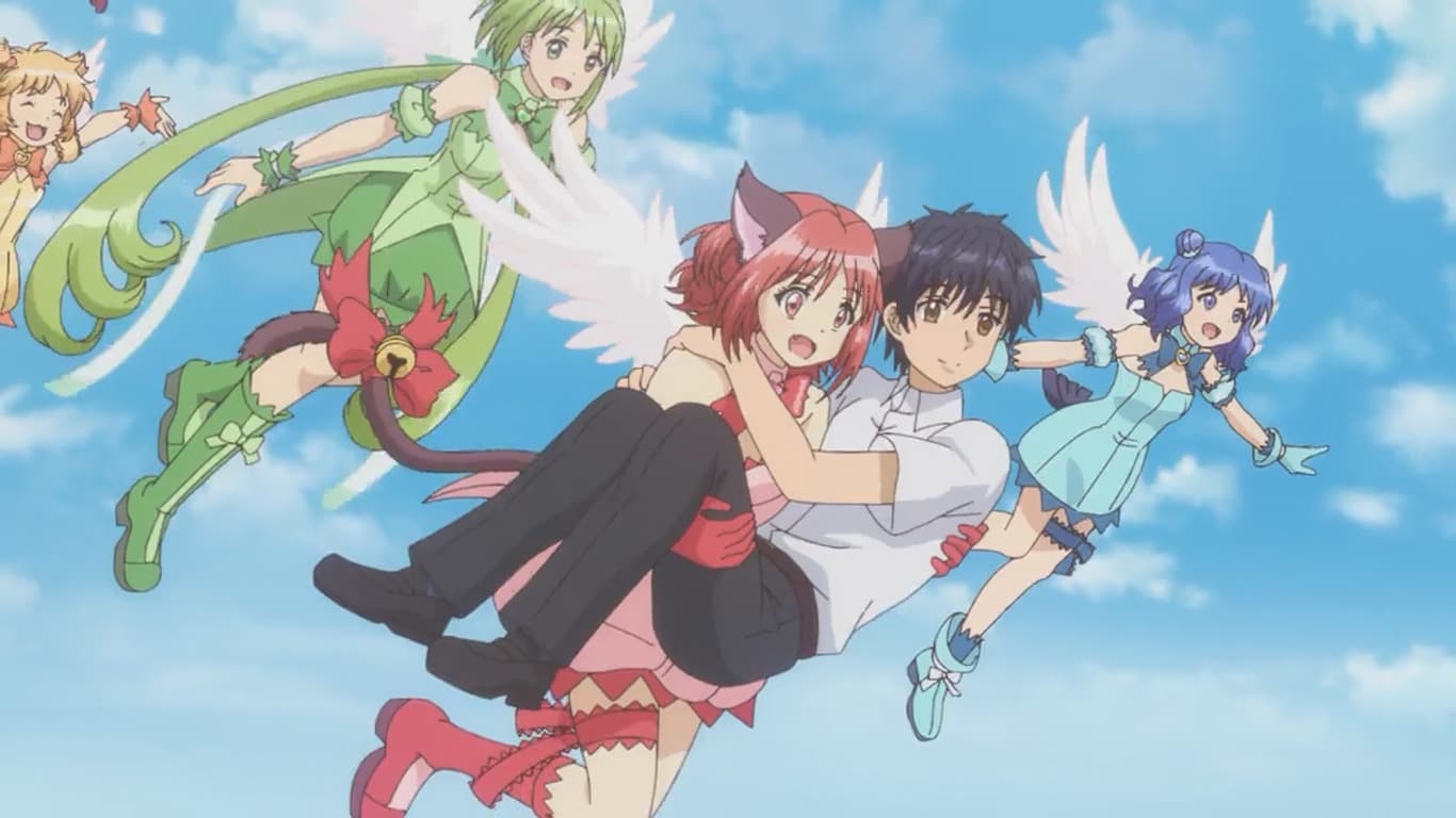 Tokyo Mew Mew New ♡ 2nd Season - Statistics 