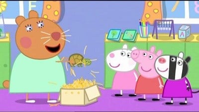 25 Peppa Pig Os Números Completo Em Portugues do Brasil S3E25 