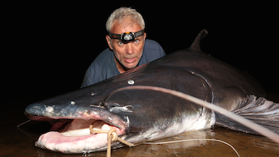 monstre d eau douce - Recherche Google  River monsters, Jeremy wade, Monster  fishing