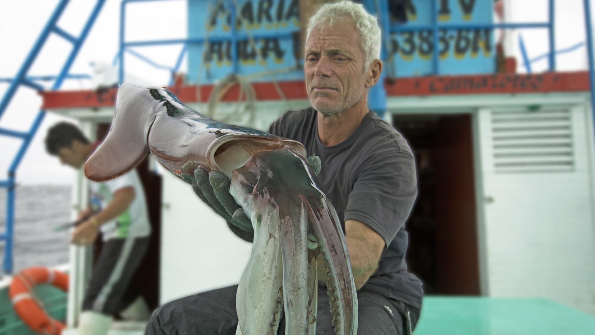 River Monster Streaming Vf Regarder River Monsters saison 8 épisode 5 en streaming complet VOSTFR