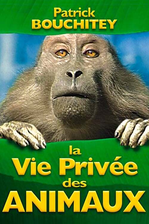 La Vie Privée Des Animaux Streaming Regarder le film La Vie Privée des Animaux en streaming | BetaSeries.com