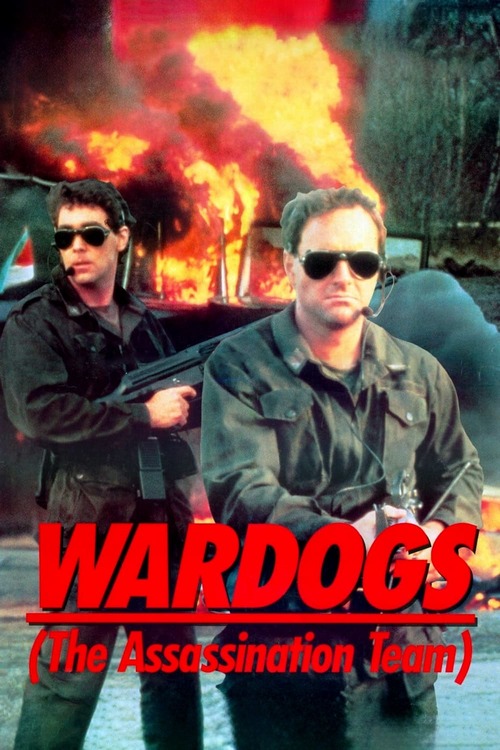 War Dogs Streaming Vostfr