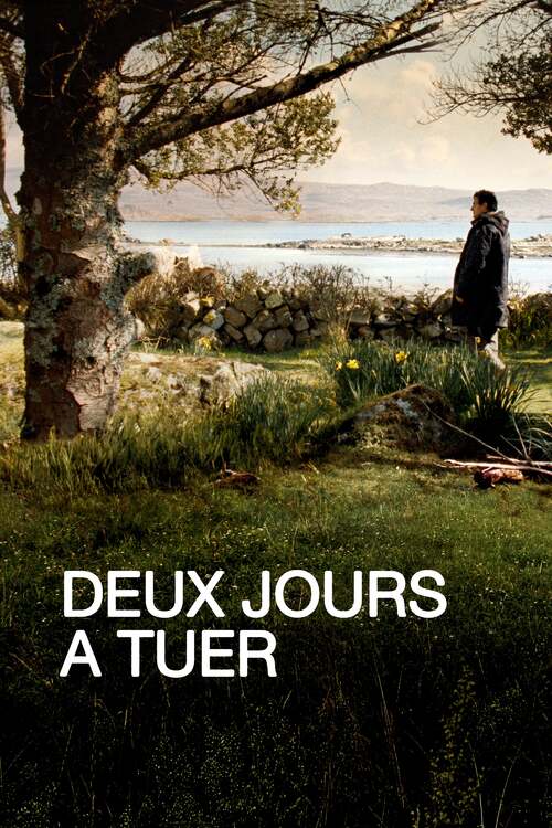 Deux Jour A Tuer Regarder le film Deux jours à tuer en streaming | BetaSeries.com