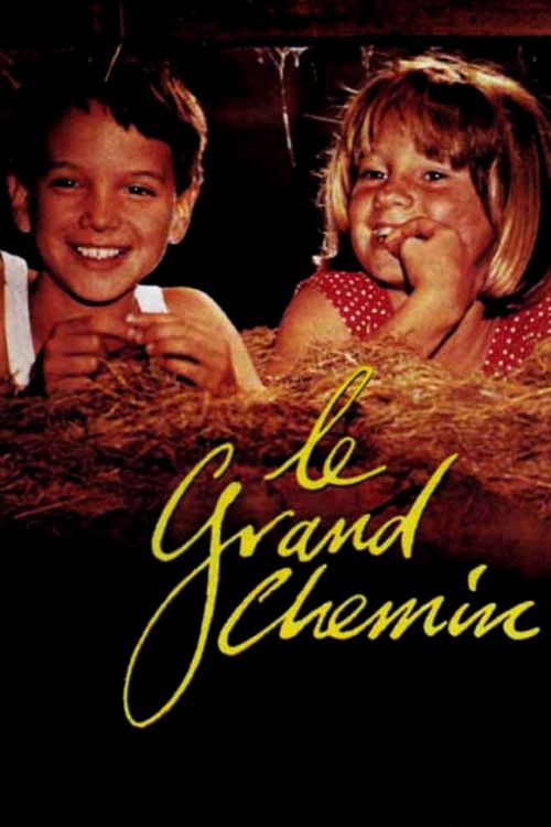 Le Grand Chemin Film Complet Vf Regarder le film Le Grand Chemin en streaming complet VOSTFR, VF, VO