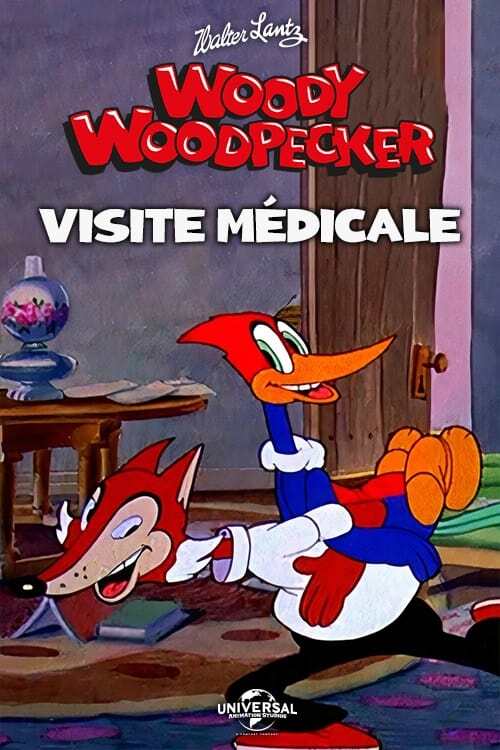 Regarder le film Woody Woodpecker en streaming complet VOSTFR, VF, VO