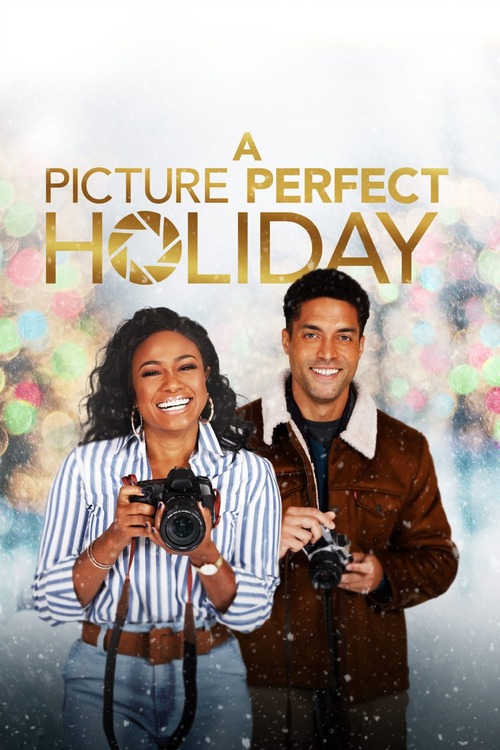 Téléfilm Lifetime Noël 2021 A Picture Perfect Holiday | Popcorn et Canapé