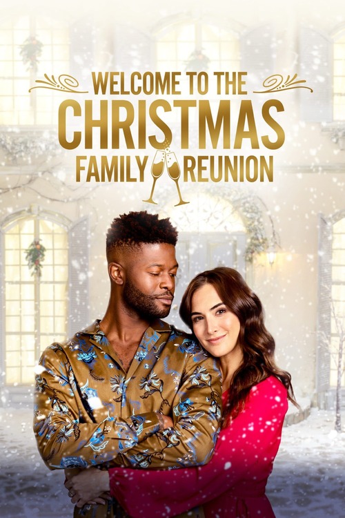 Téléfilm Lifetime Noël 2021 Welcome to the Christmas Family Reunion | Popcorn et Canapé