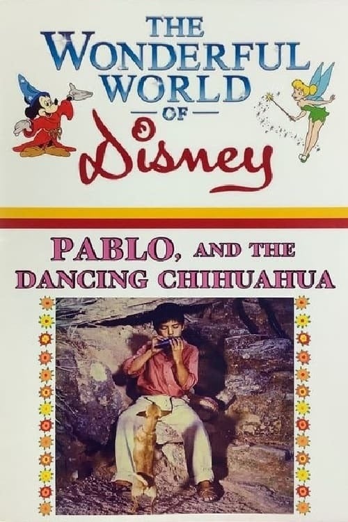 Pablo and the Dancing Chihuahua