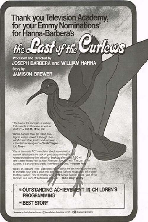The Last of the Curlews