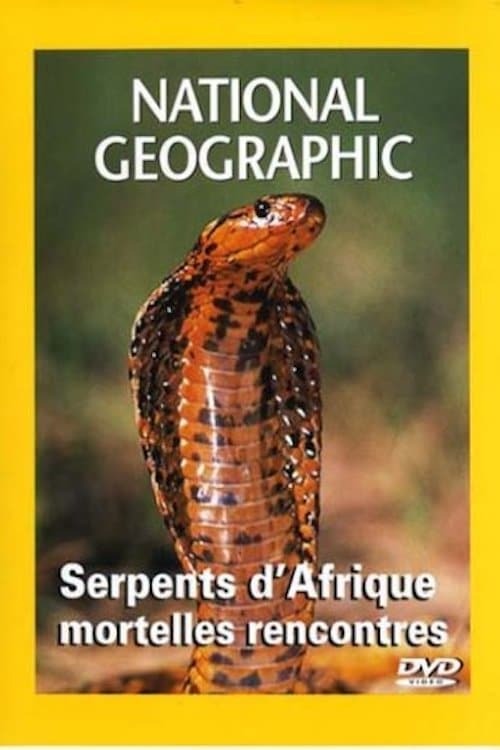 National Geographic Les serpents d'Afrique