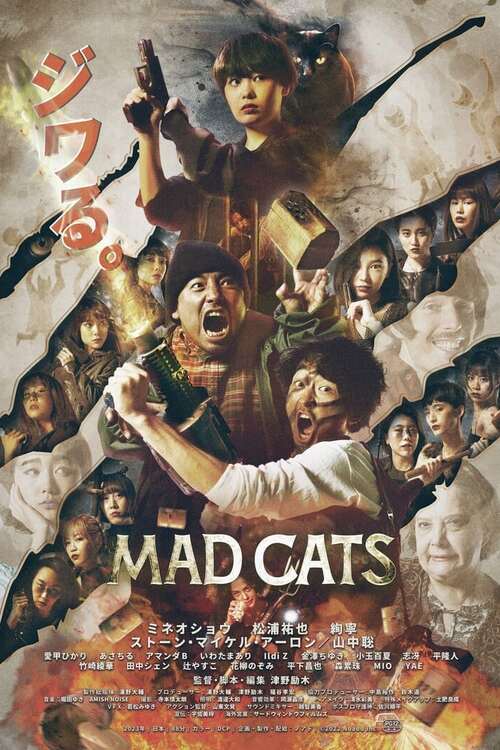 Mad Cats