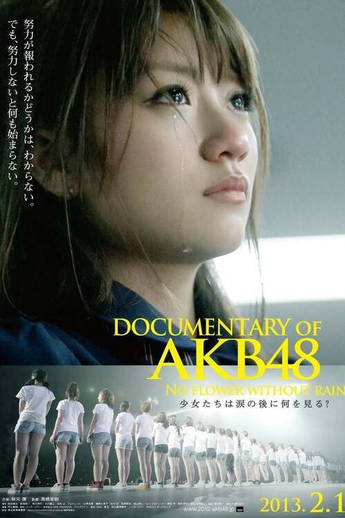 DOCUMENTARY of AKB48 No flower without rain 少女たちは涙の後に何を見る?