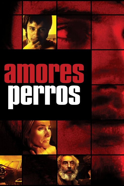 Amores perros