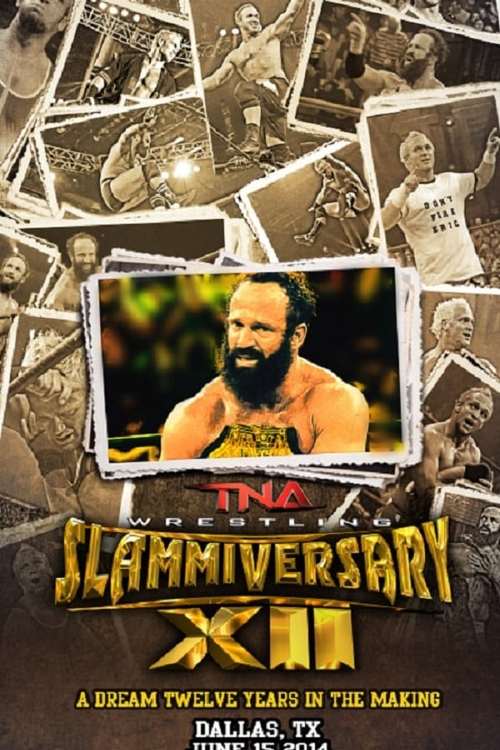 TNA Slammiversary XII