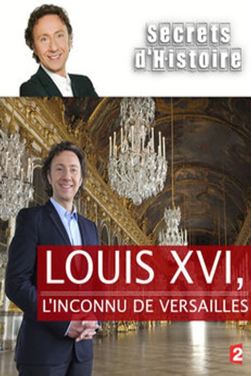 Louis XVI, L'inconnu de Versailles