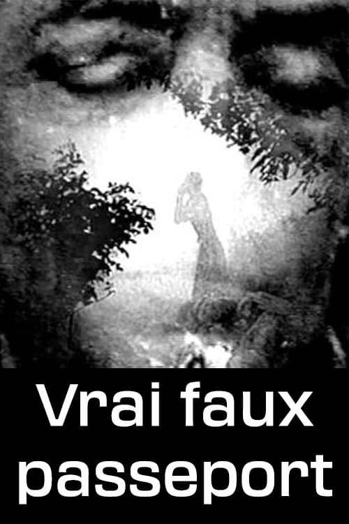 Vrai faux passeport. Fiction documentaire sur des occasions de porter un jugement à propos de la façon de faire des films