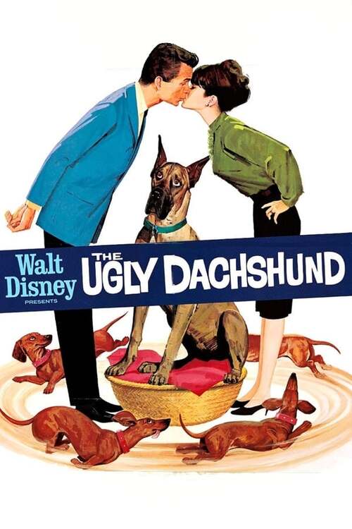 The Ugly Dachshund