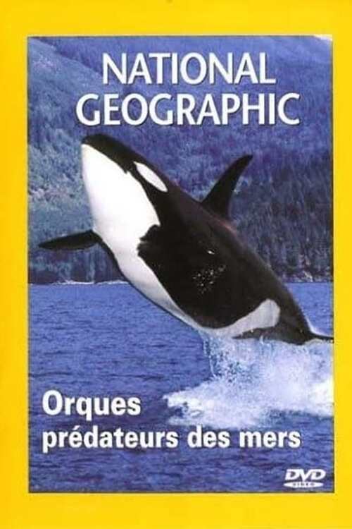 National Geographic : Orques, prédateurs des mers