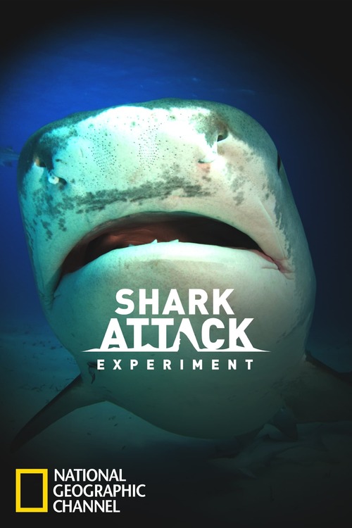 Shark Attack Experiment Live