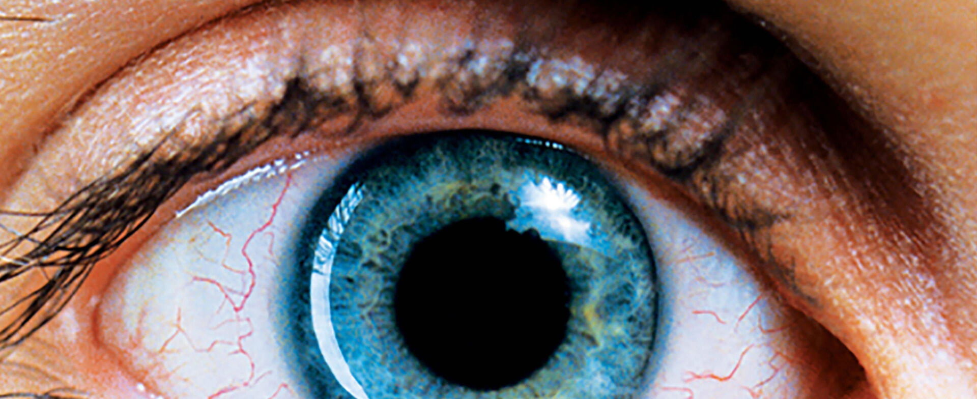 Requiem For A Dream Streaming Complet Vf