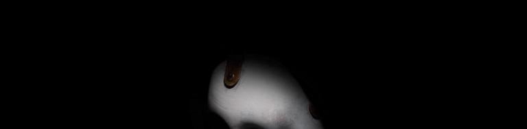 Scream