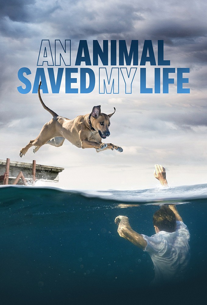 Poster de la serie Un animal salvó mi vida