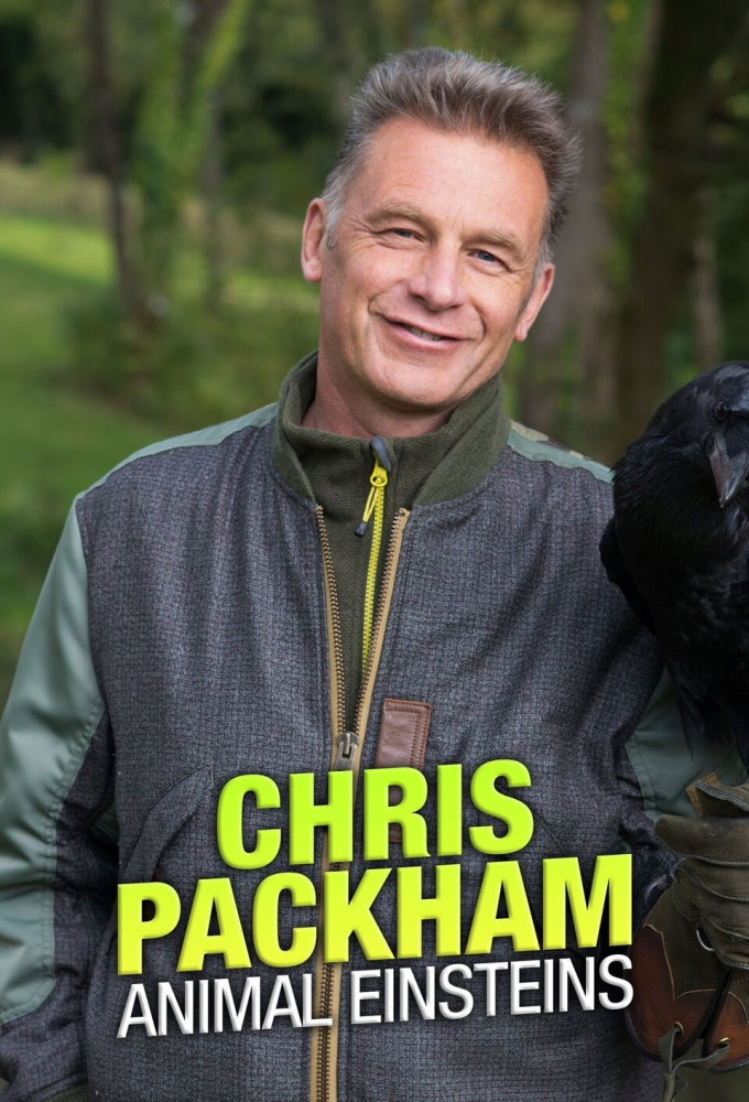 Poster de la serie Chris Packham's Animal Einsteins