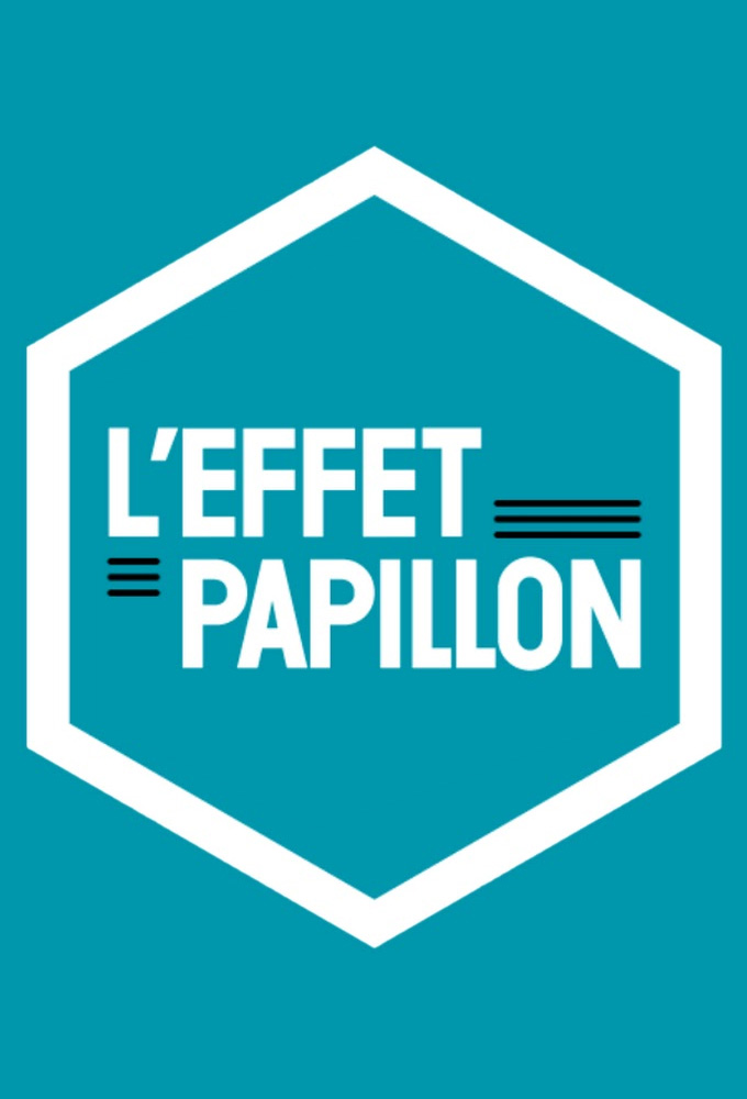 Poster de la serie L'effet papillon