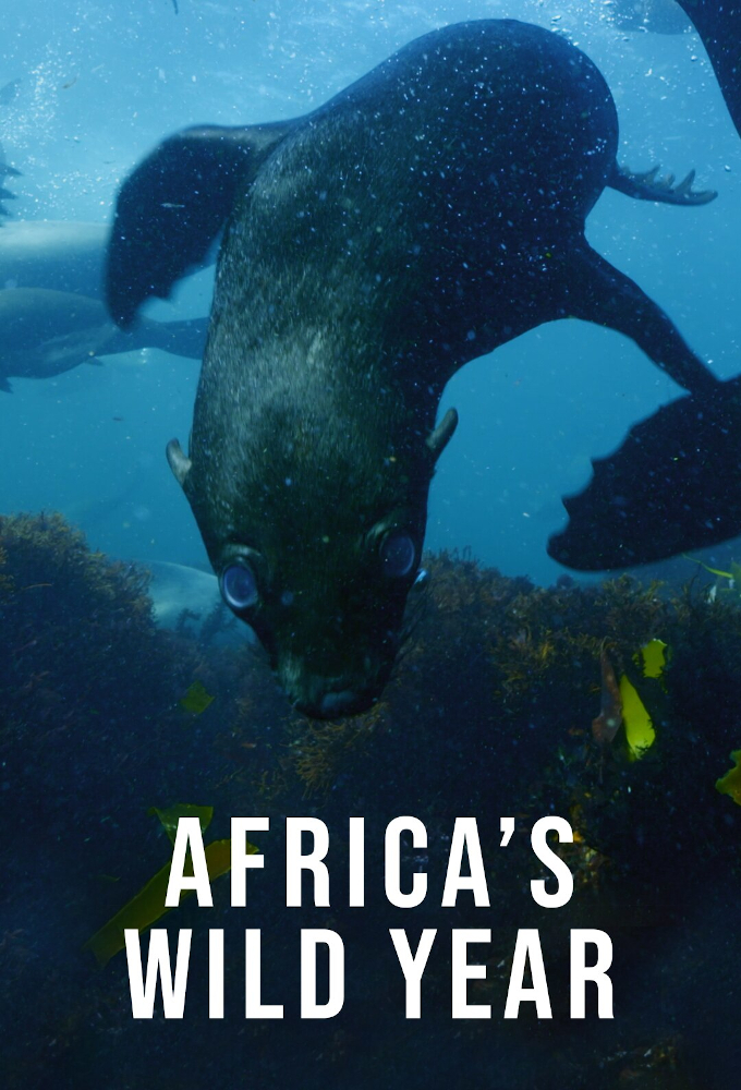 Poster de la serie Die Wildnis Afrikas - Vier Jahreszeiten