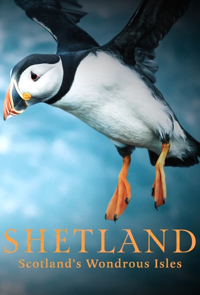 Poster de la serie Shetland: Scotland's Wondrous Isles