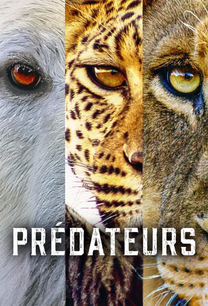 Poster de la serie Predators (2022)