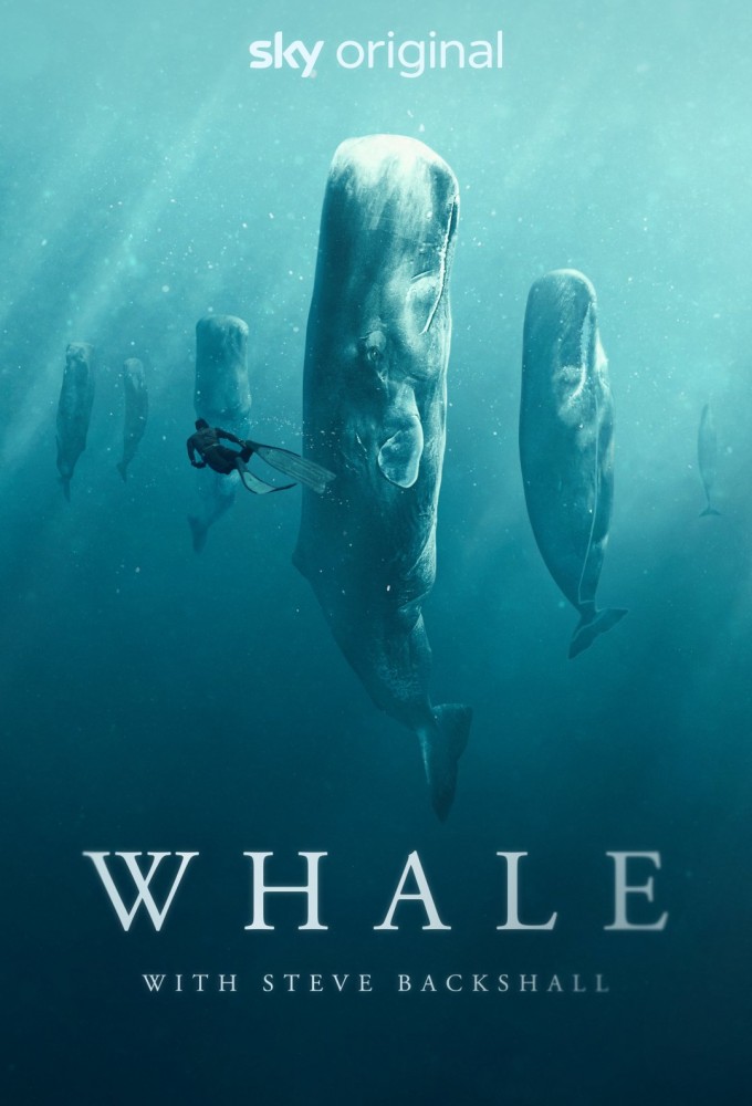 Poster de la serie Ballenas con Steve Backshall