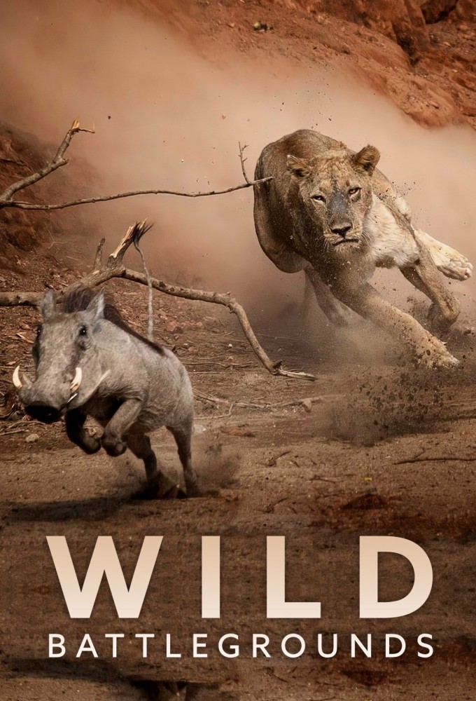 Poster de la serie Wild Battleground