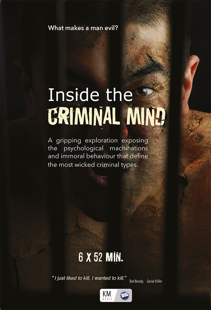 Poster de la serie Inside the Criminal Mind