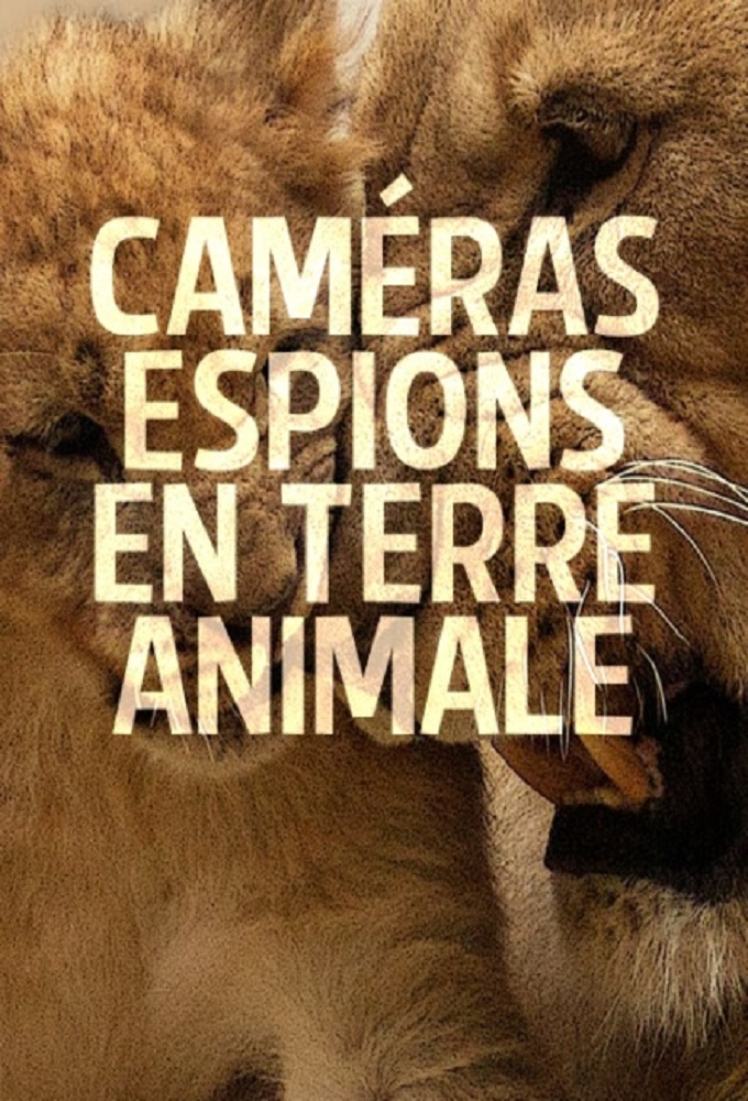 Poster de la serie Caméras espions en terre animale