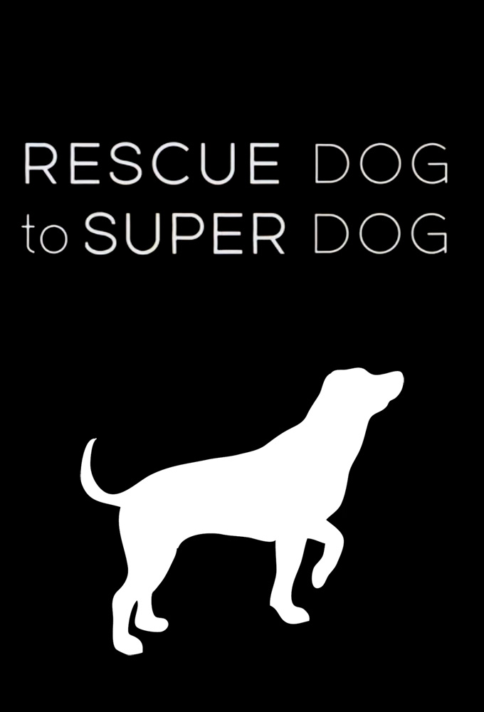 Poster de la serie Rescue Dog to Super Dog