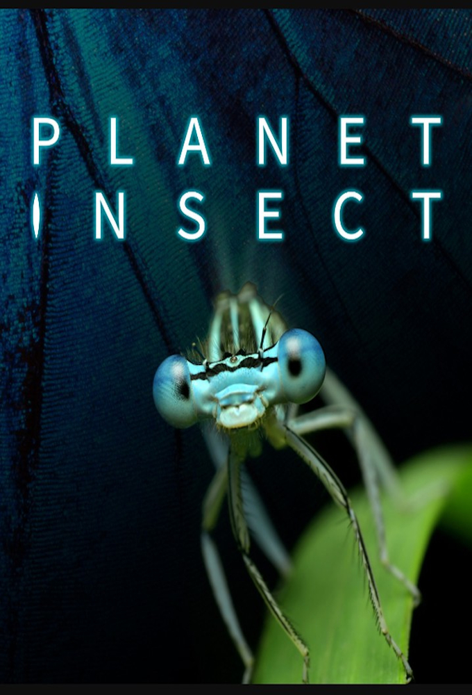 Poster de la serie Planet Insect