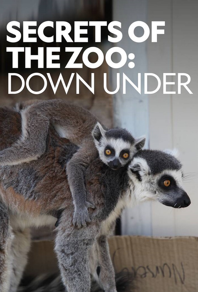 Poster de la serie Secrets of the Zoo: Down Under