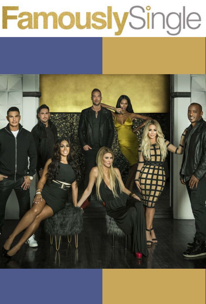 Poster de la serie Famously Single