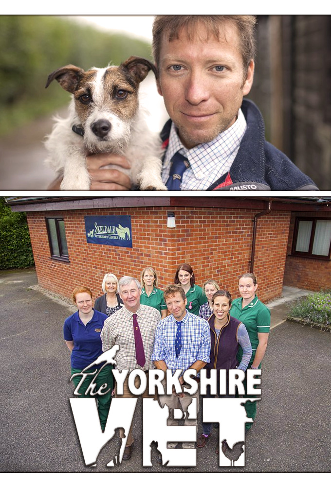 Poster de la serie The Yorkshire Vet