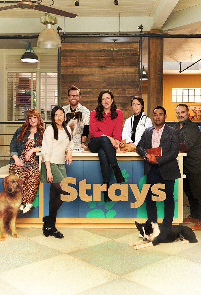 Poster de la serie Strays