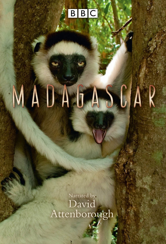 Poster de la serie Madagascar