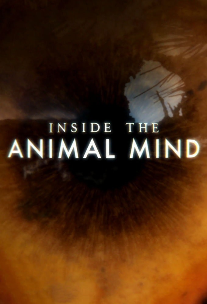 Poster de la serie Inside the Animal Mind