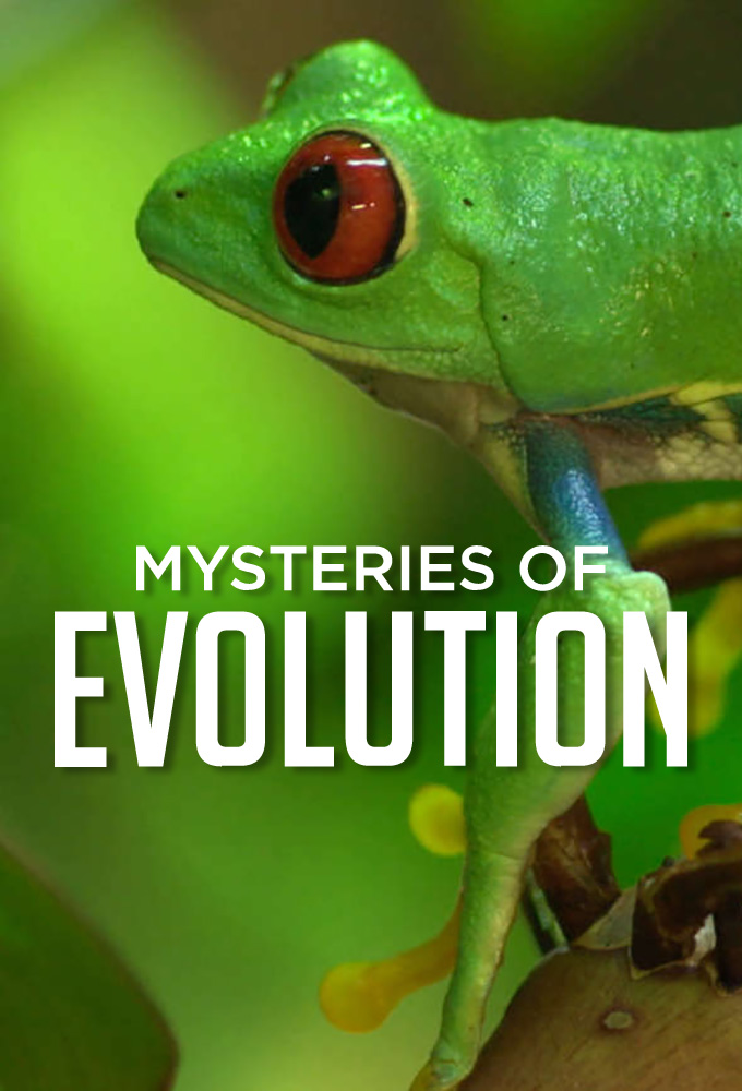 Poster de la serie Mysteries of Evolution