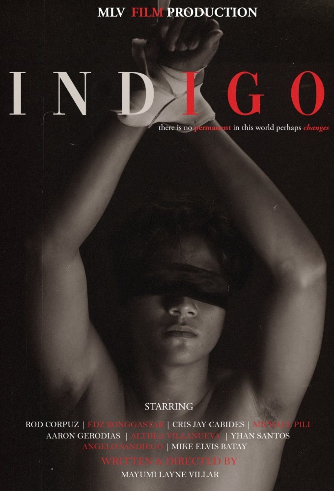 Poster de la serie INDIGO