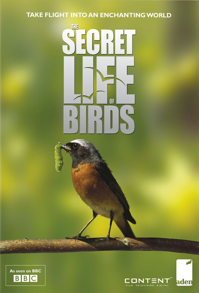 Poster de la serie The Secret Life of Birds