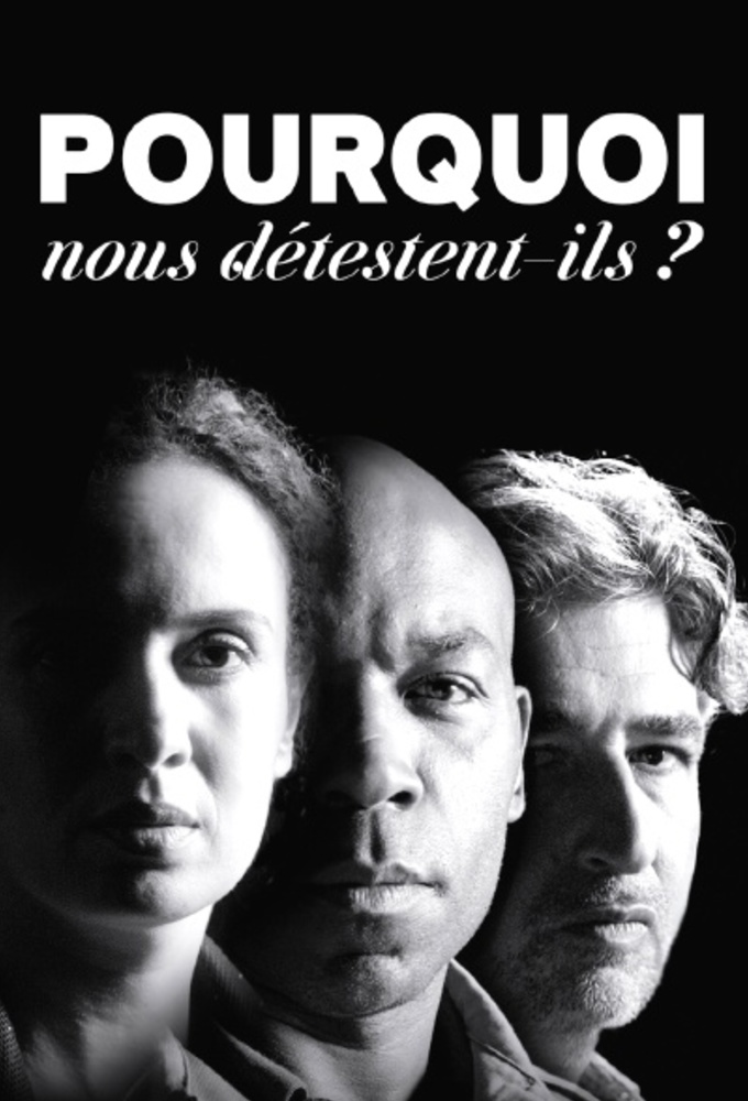 Poster de la serie Pourquoi nous détestent-ils ?